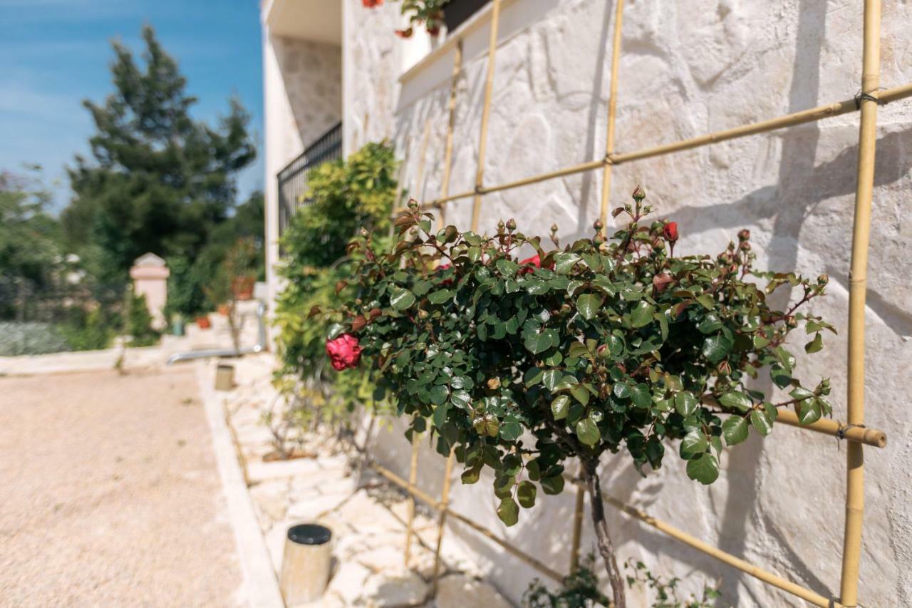 Hedon-Stone Apartment Starigrad Paklenica Exterior foto